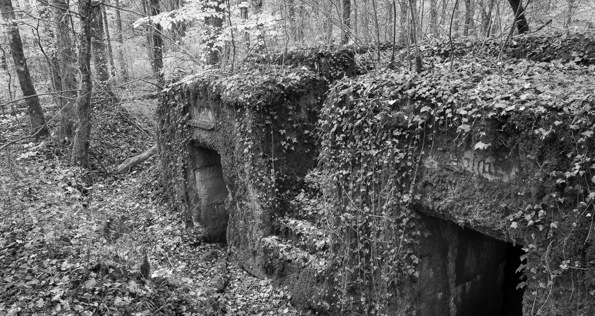 Animal Bunkers, Bois des Caures, France