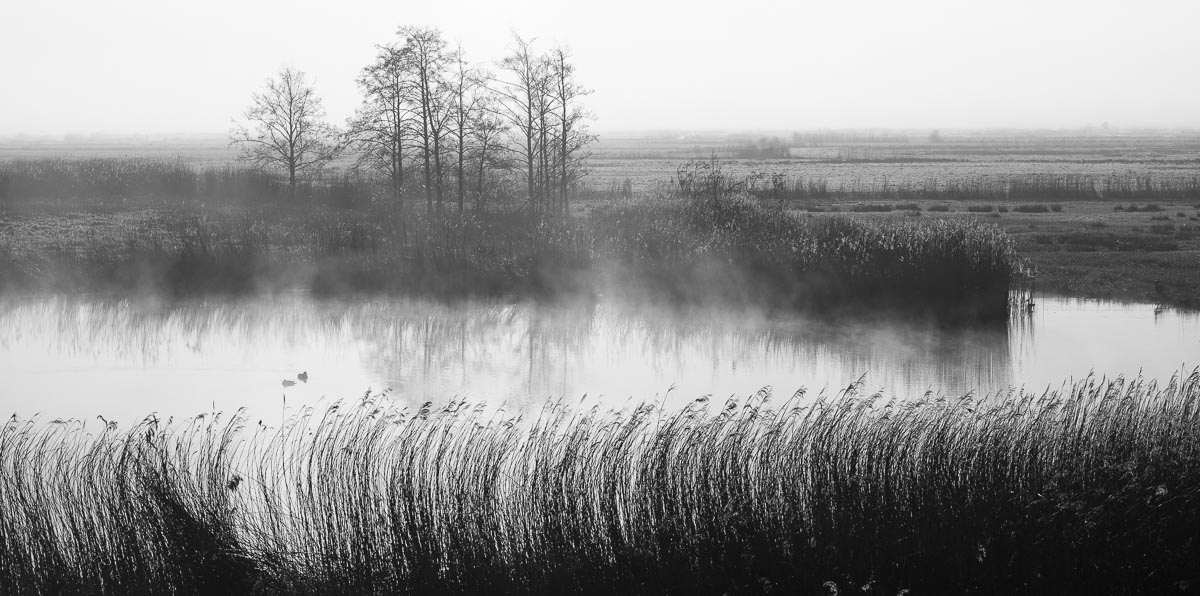 Arkemheen, Nijkerk, Netherlands