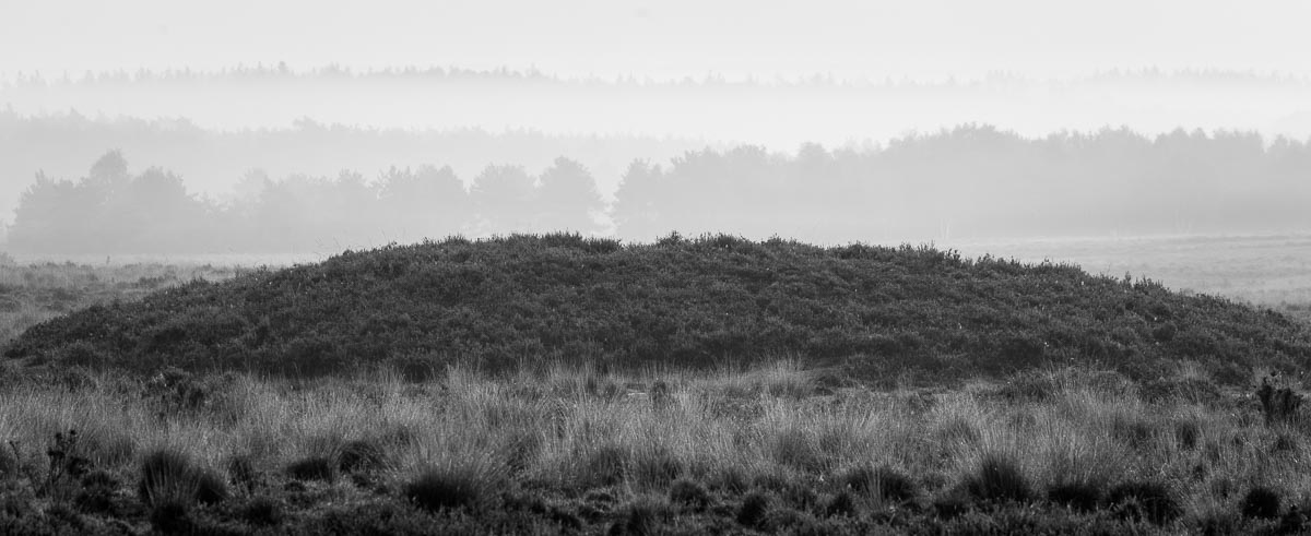 Burial Mounds, Ermelo, Netherlands