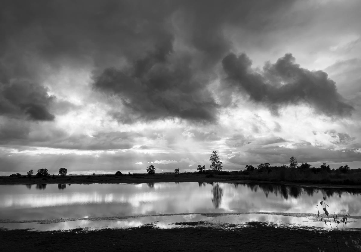 Dwingelderveld, Drenthe, Netherlands