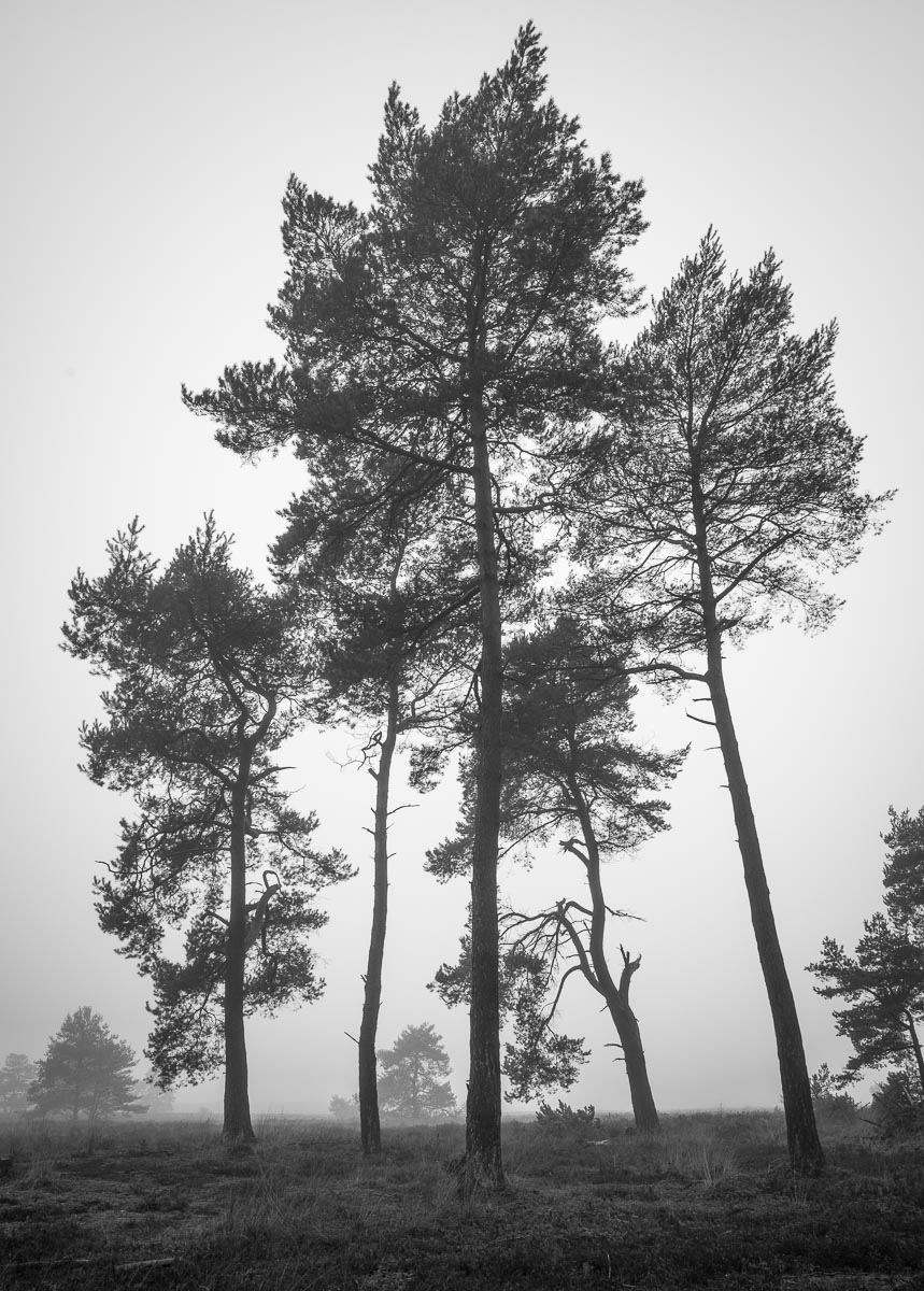 Het Loo, Apeldoorn, Netherlands