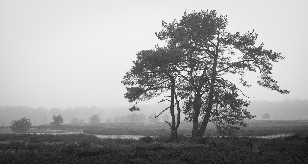 Het Loo, Apeldoorn, Netherlands