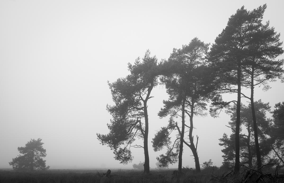 Het Loo, Apeldoorn, Netherlands