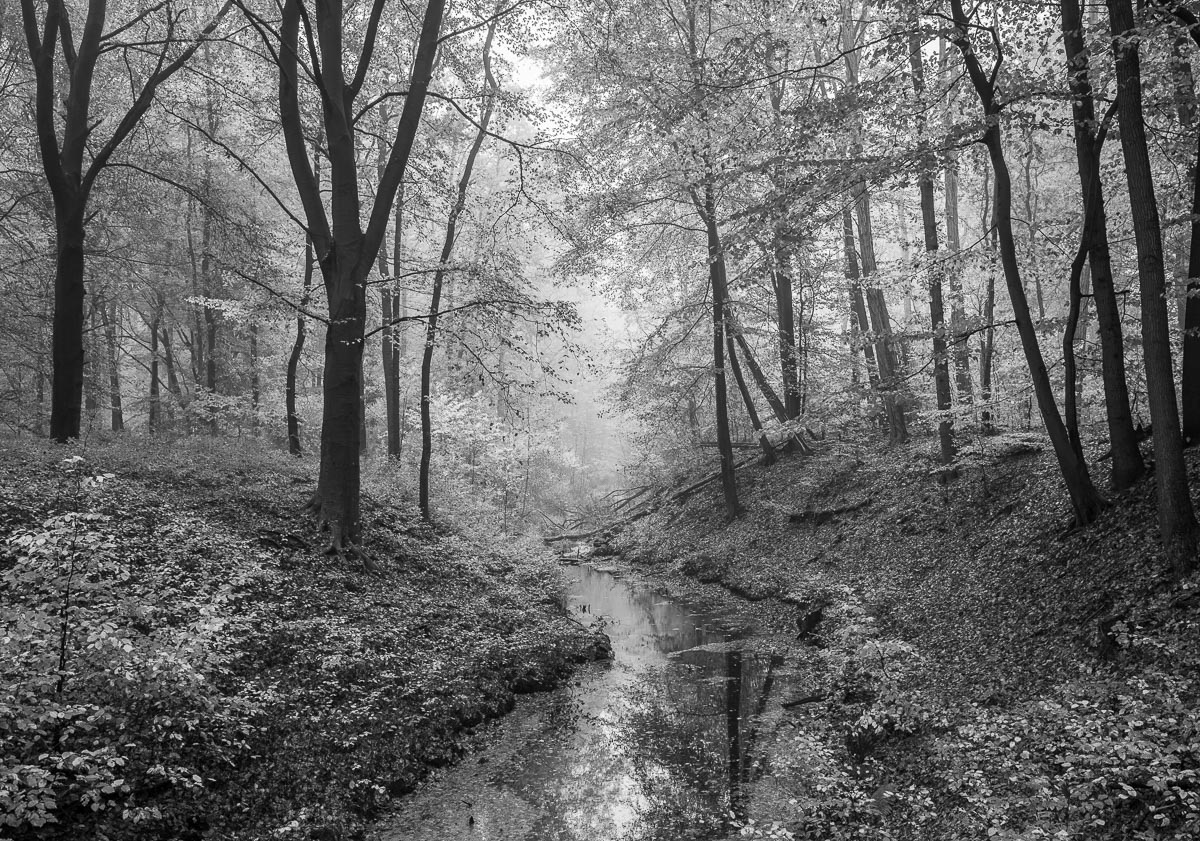 Horselingbeek, Putten, Netherlands