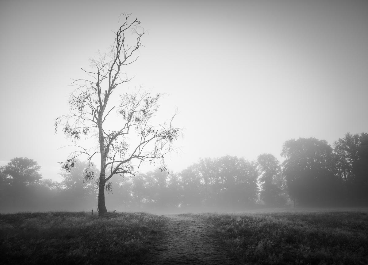 Hunneschans, Uddel, Netherlands