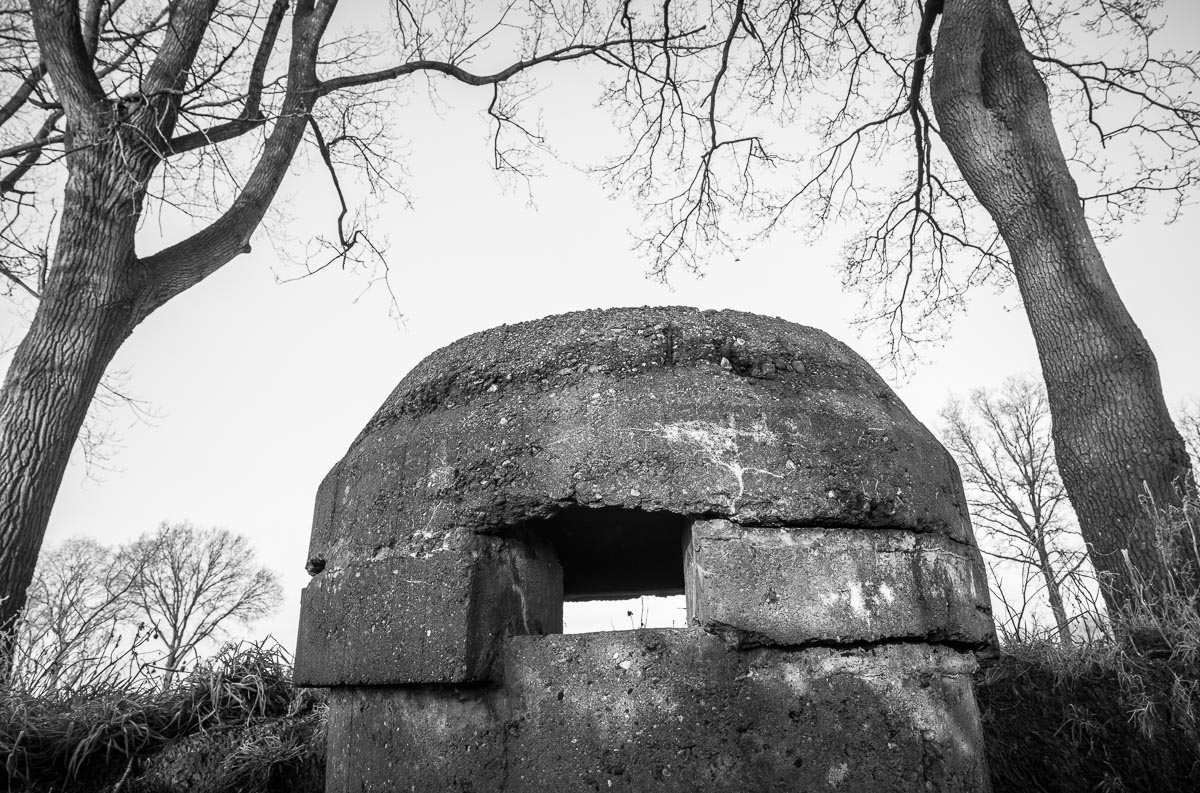 Koch Bunker, Wittelte, Drenthe