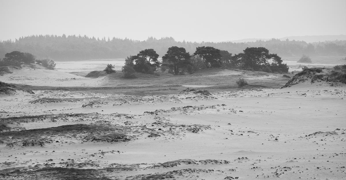 Kootwijkerzand, Netherlands