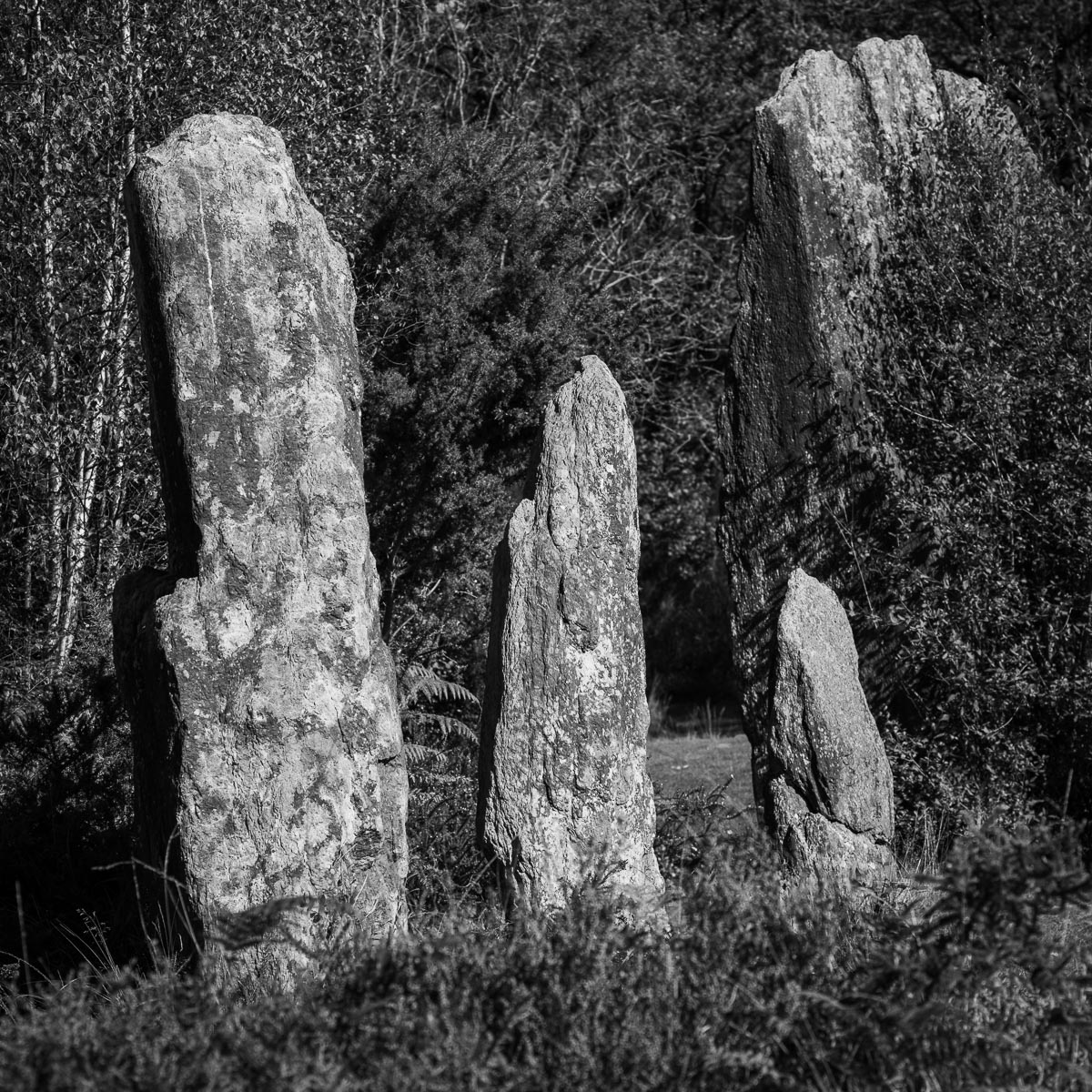 Menhirs de Monteneuf, France