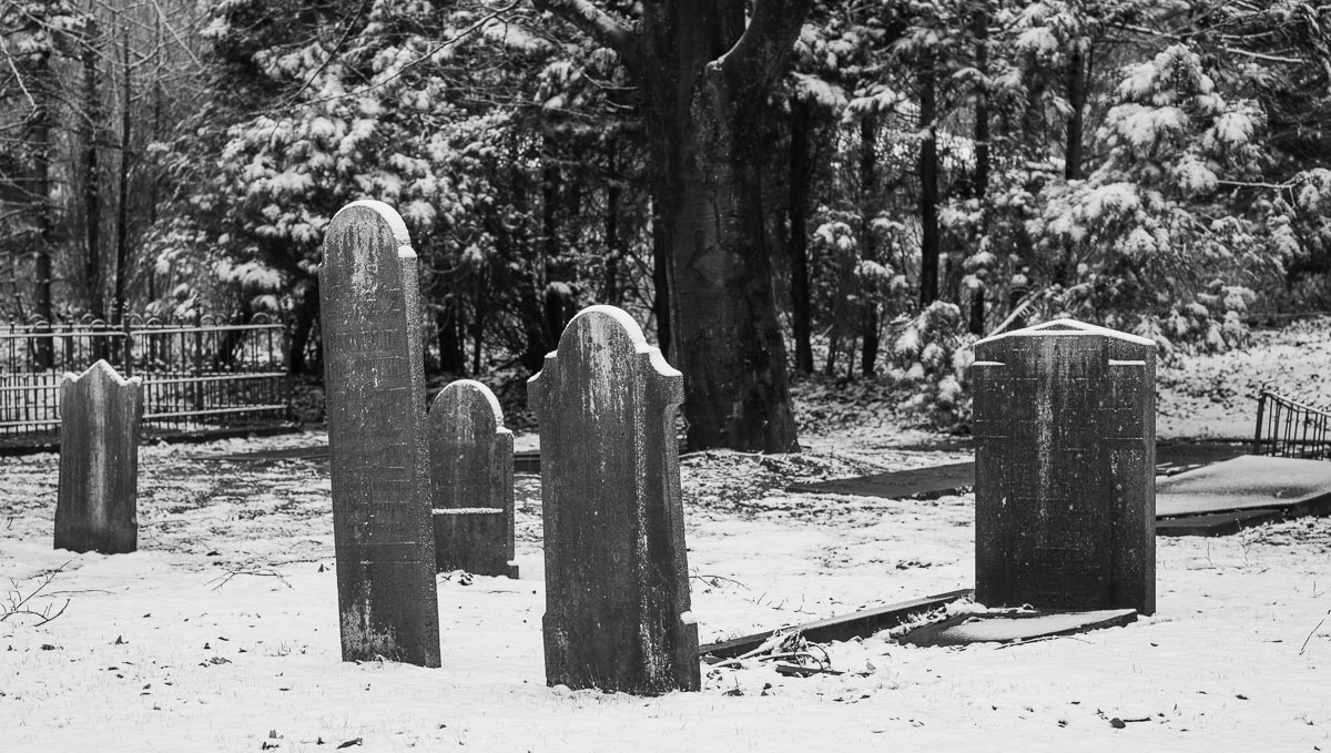 Old Cemetery Veldwijk, Ermelo, Netherlands