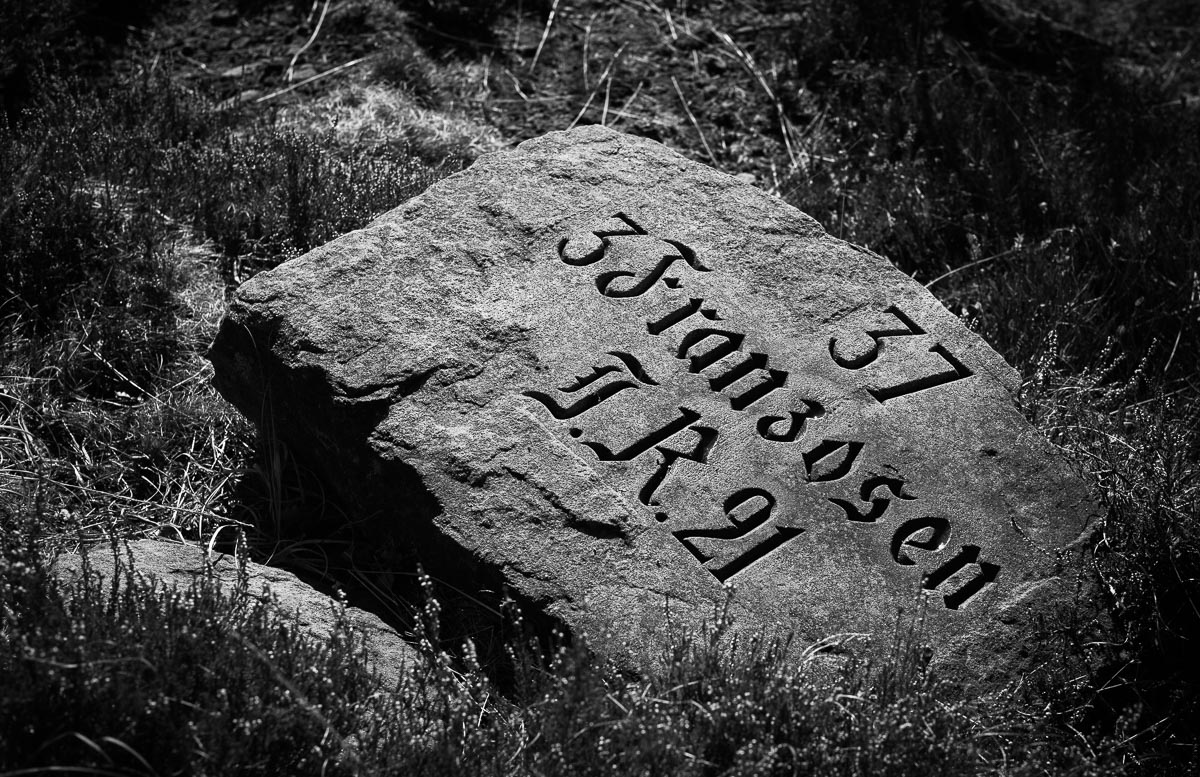 Petit Donon 1914, Vosges, France