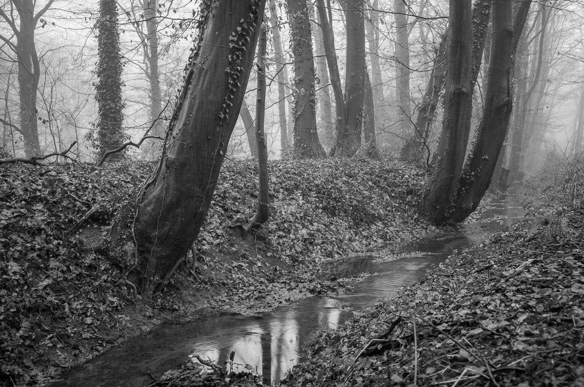 Schoonderbeek, Putten, Netherlands