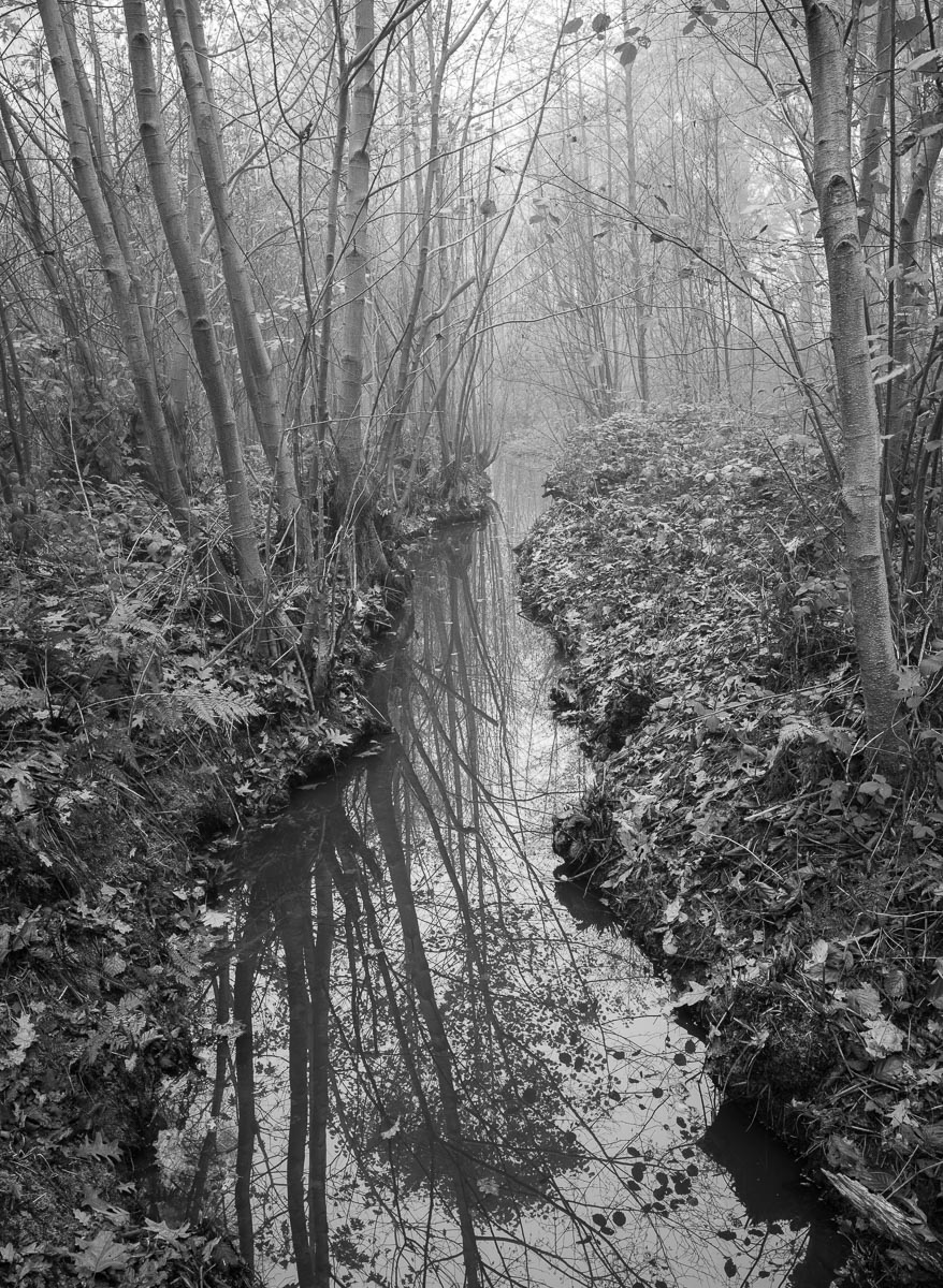 Schuitenbeek, Putten, Netherlands