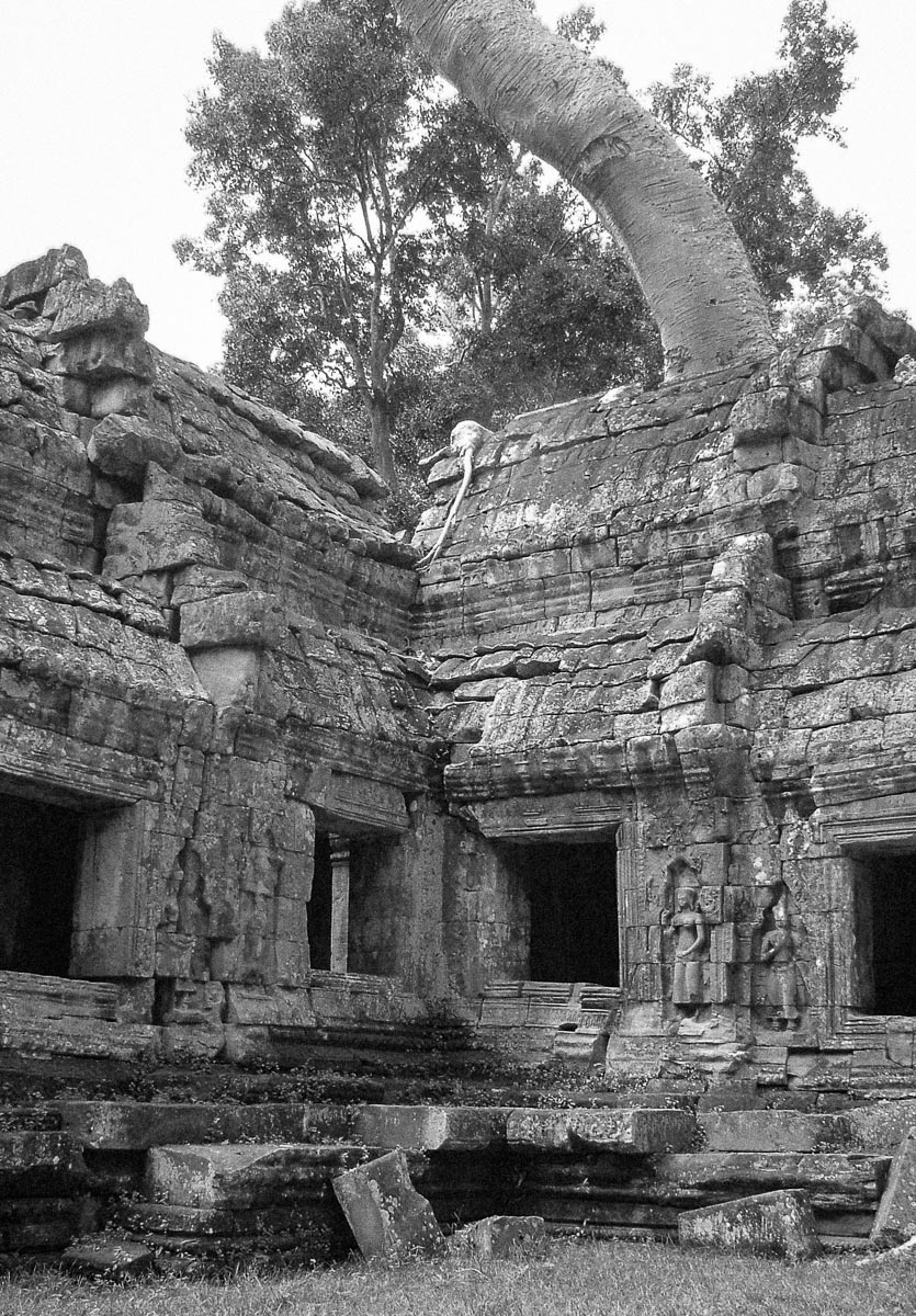 Ta Prohm, Angkor, Cambodia