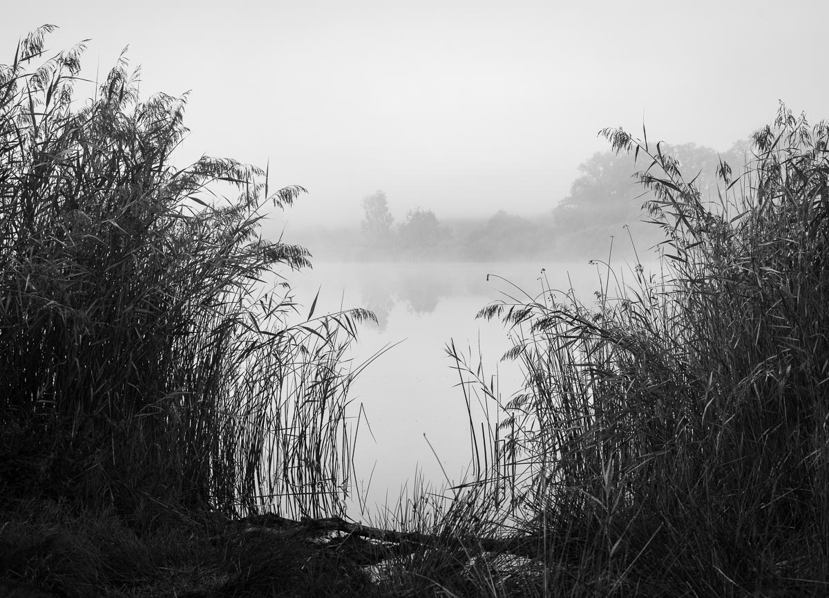 Uddelermeer, Uddel, Netherlands