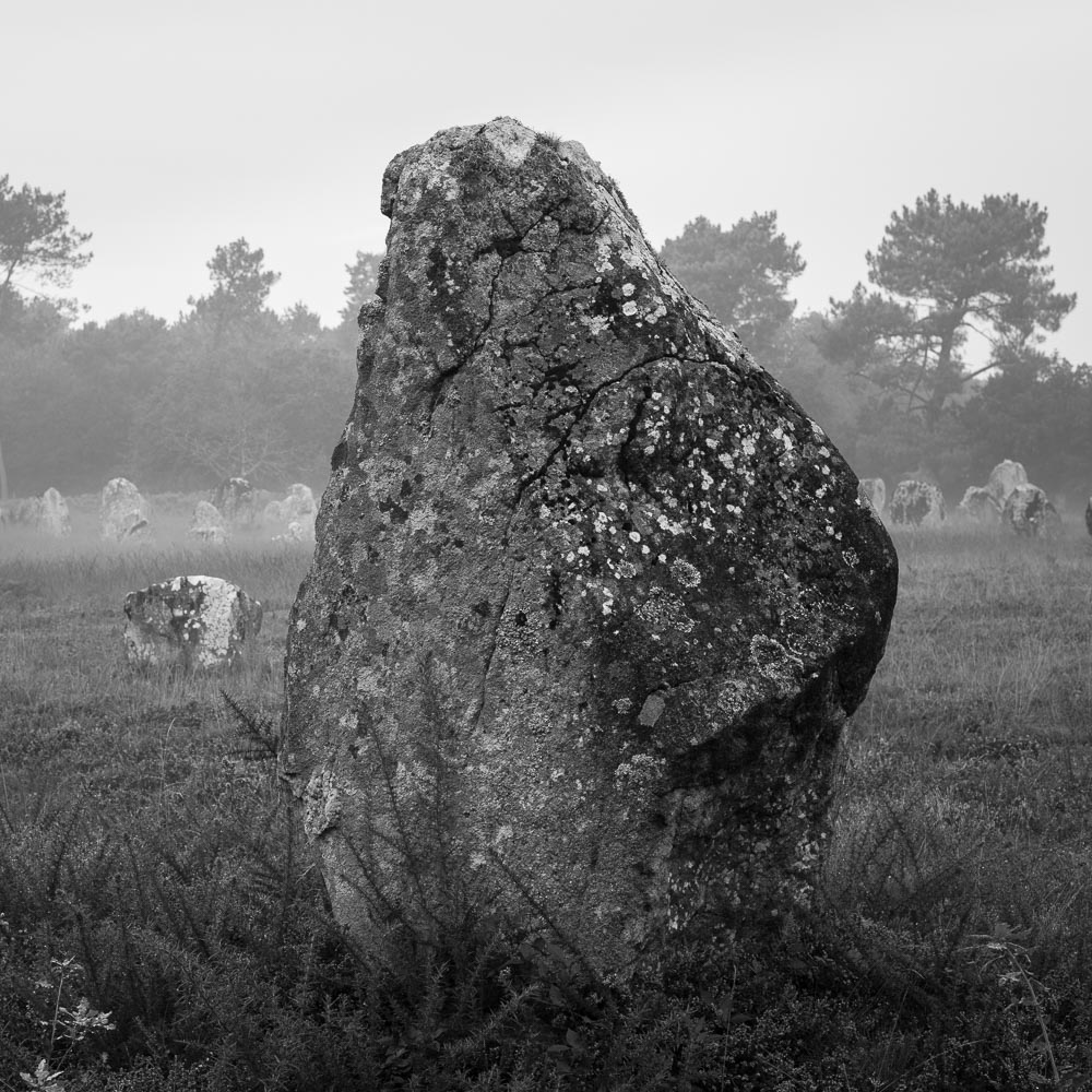 Carnac Alignments